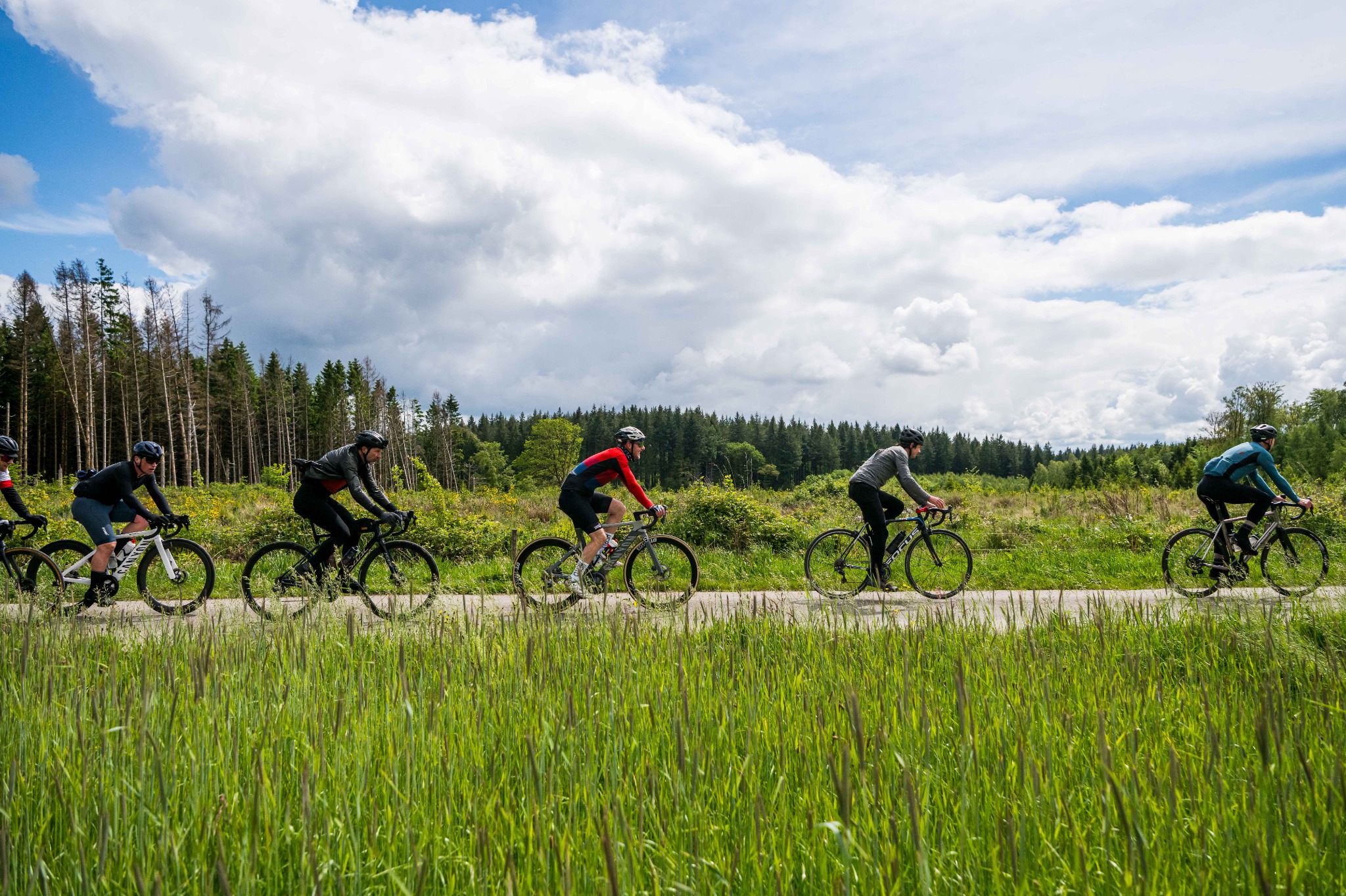 Een peloton door het groene landschap